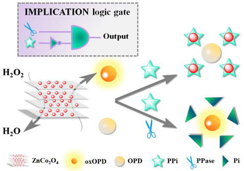 兰州化物所低共熔溶剂介导的纳米材料研究取得系列进展