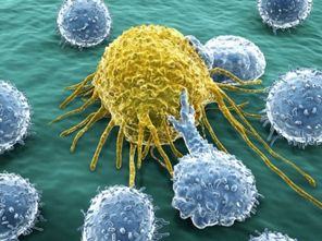 纳米材料 开启免疫抗癌新纪元的前沿钥匙